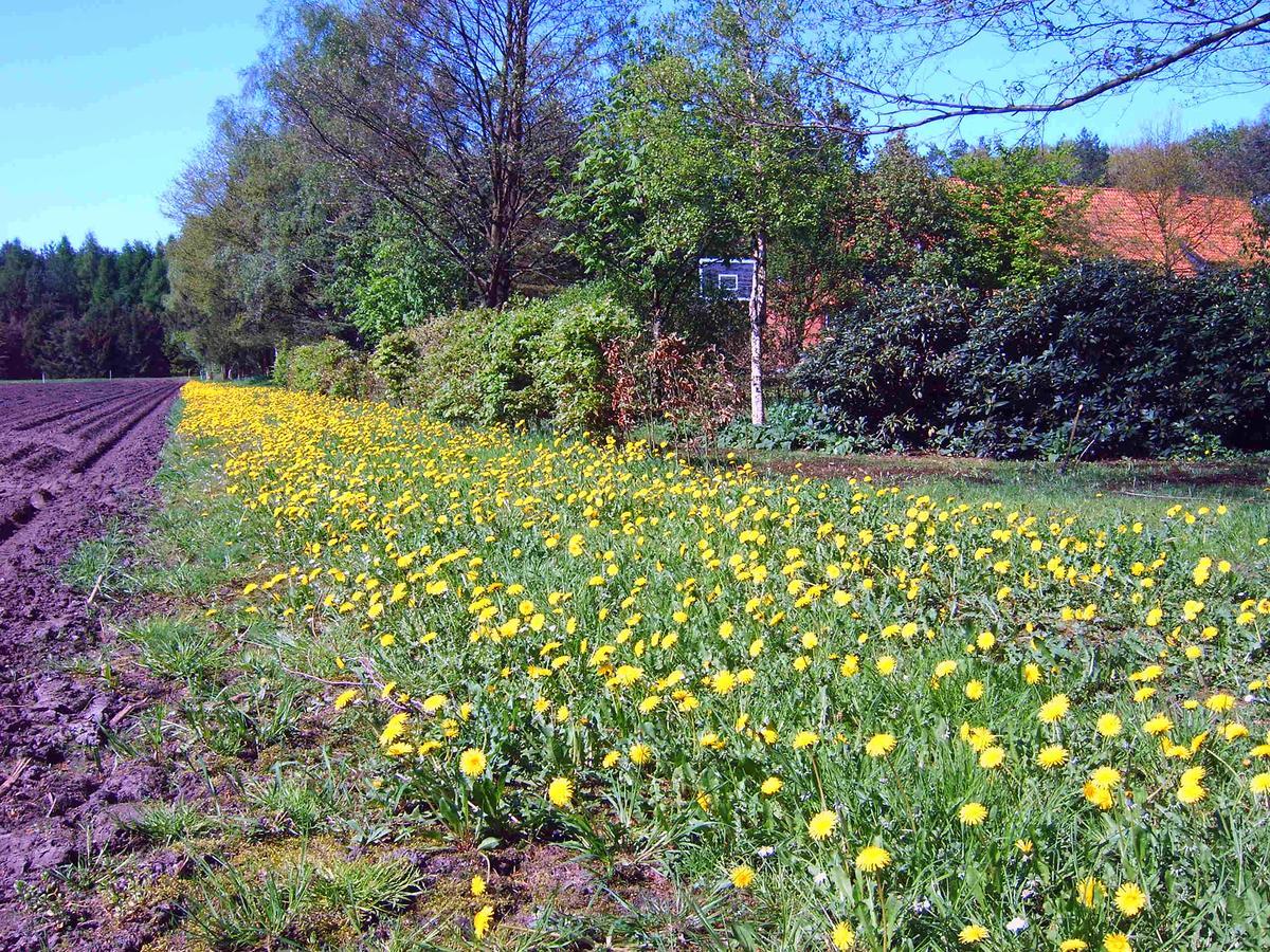 Ferienhof Gruber Wesseloh Esterno foto
